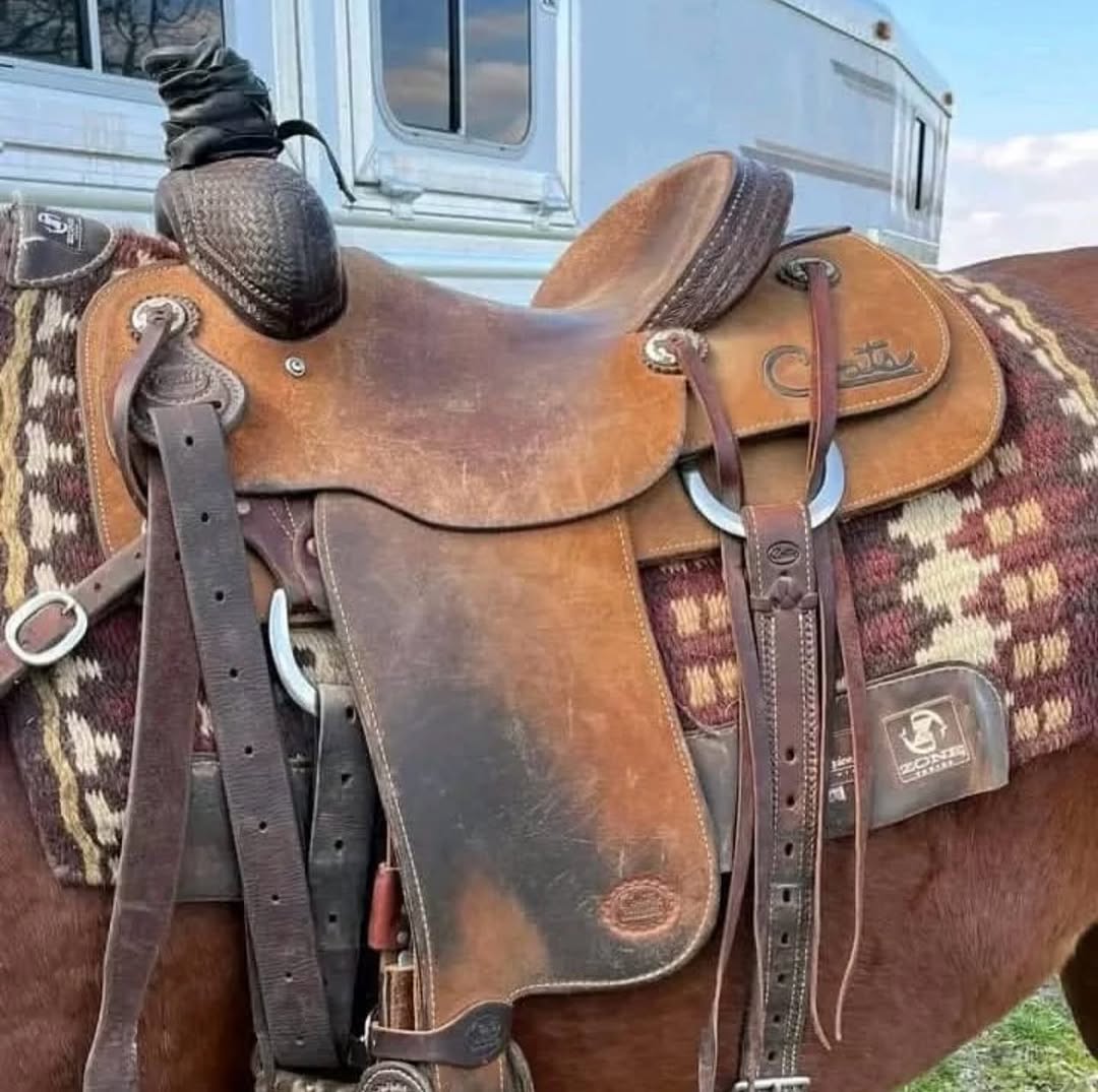 0114462f2ea0410c2664b225a343551d 0114462f2ea0410c2664b225a343551d