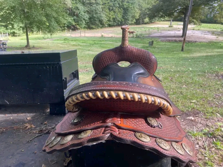 1772147135550 1772147135550