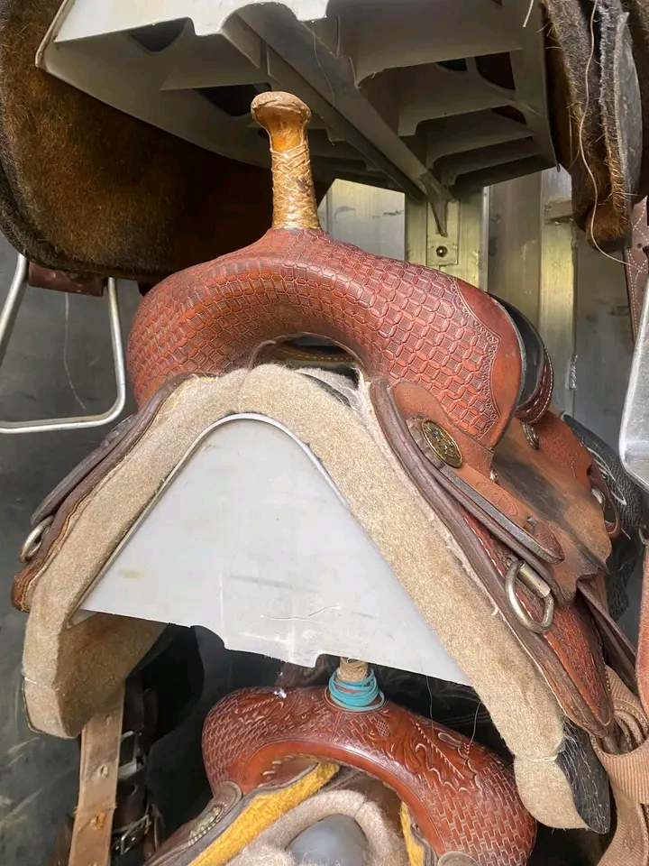 1772147138504 1772147138504