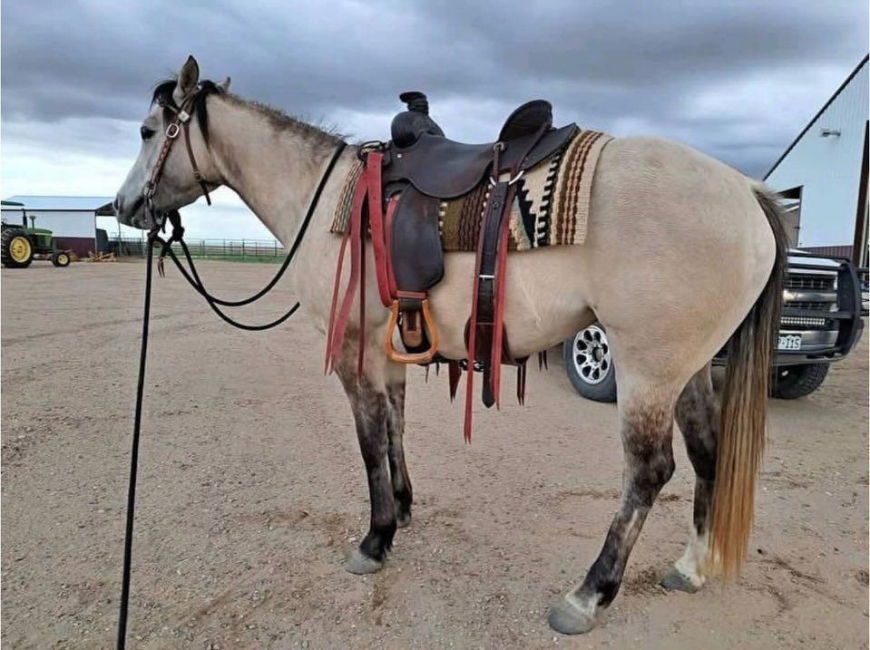 2aea552b5d8c9ce875b97509bcd75fbd 2aea552b5d8c9ce875b97509bcd75fbd