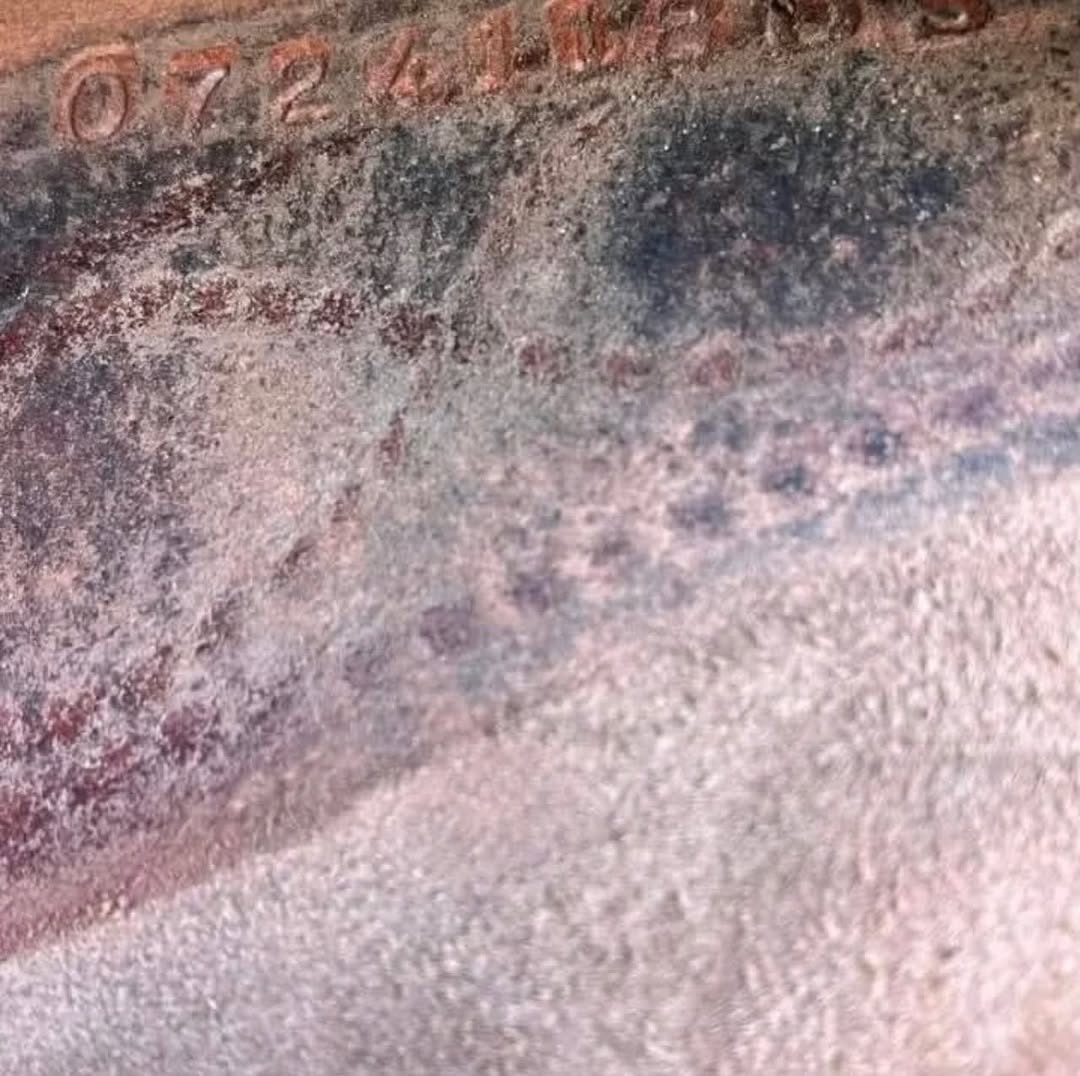 8358ae917a535e6f6d52dd618f28c57a 8358ae917a535e6f6d52dd618f28c57a