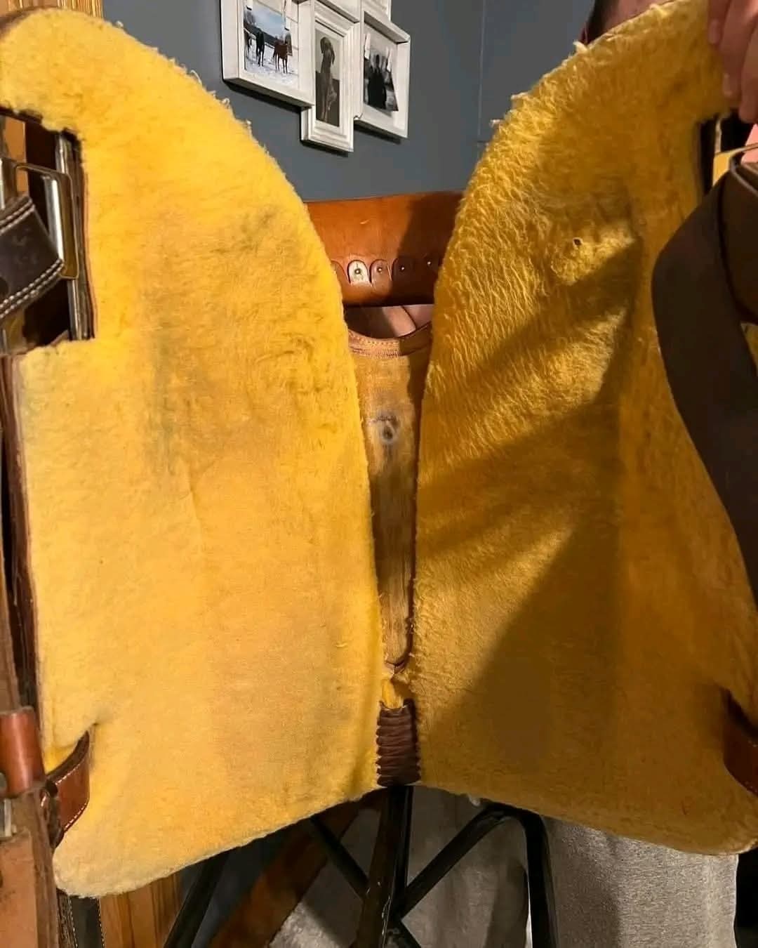 FB_IMG_1770409450573 FB_IMG_1770409450573