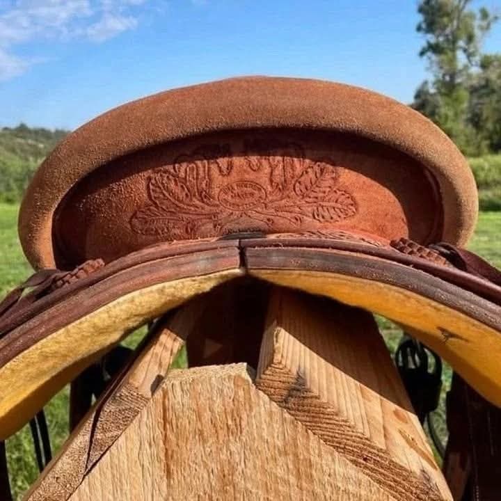 FB_IMG_1770409468647 FB_IMG_1770409468647