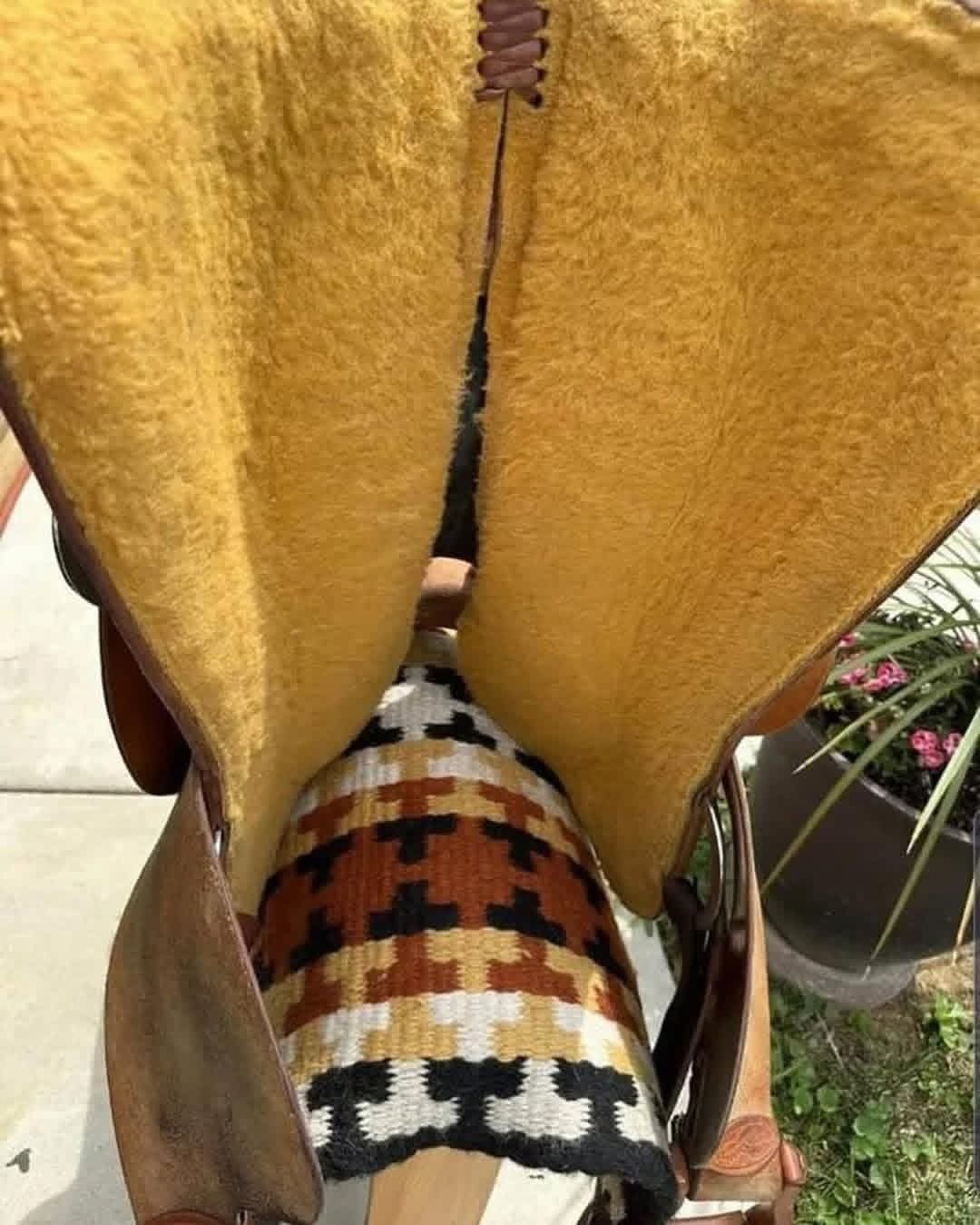 FB_IMG_1770410373953 FB_IMG_1770410373953