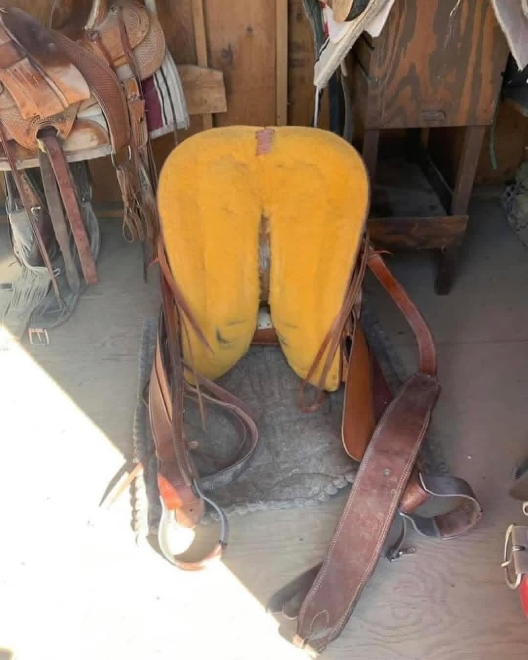 FB_IMG_1770410493729 FB_IMG_1770410493729