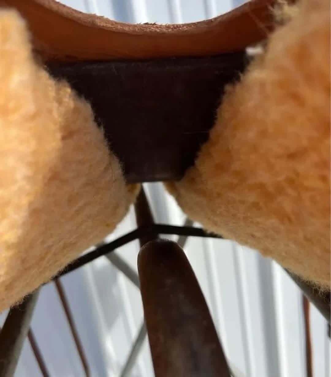 FB_IMG_1770410979439 FB_IMG_1770410979439