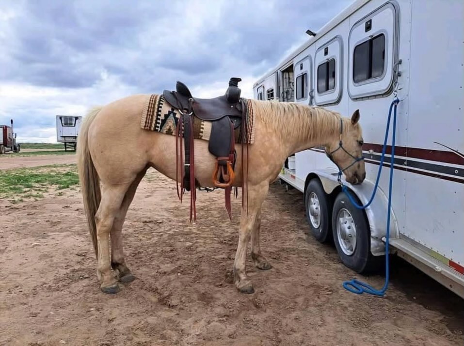 bfd4b54228eab62357cb30ddd603e5ab bfd4b54228eab62357cb30ddd603e5ab