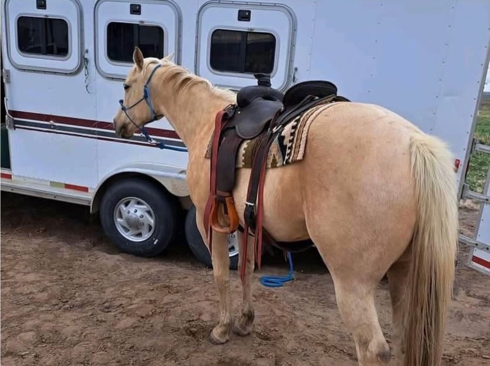 f0de3640313ca04e62bc460baac005a0 f0de3640313ca04e62bc460baac005a0