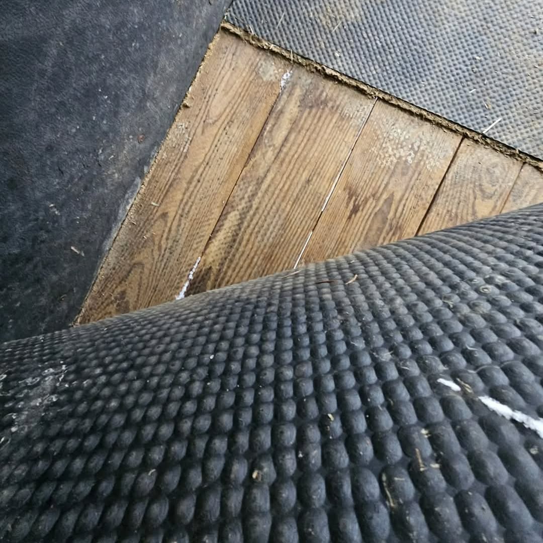 f1050735546daea42d980b72e5a6bcc9 f1050735546daea42d980b72e5a6bcc9