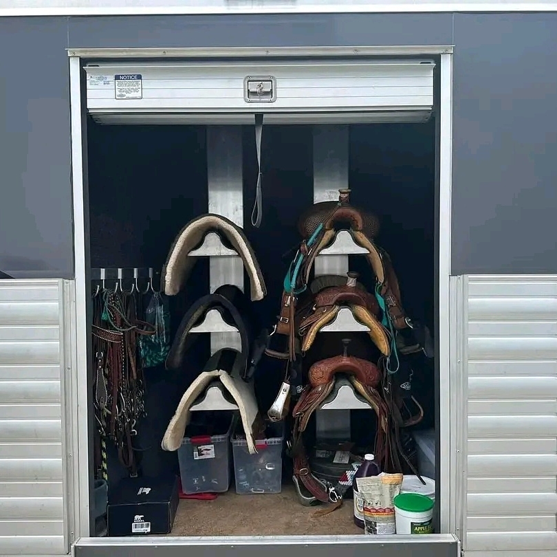 066f297a820cd348fe8f87e6353a0abb 066f297a820cd348fe8f87e6353a0abb