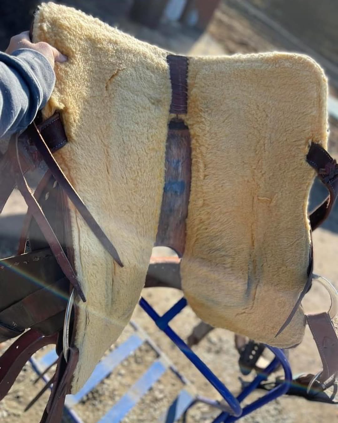 19c54bd3f5254c4931b7c423cec104b5 19c54bd3f5254c4931b7c423cec104b5