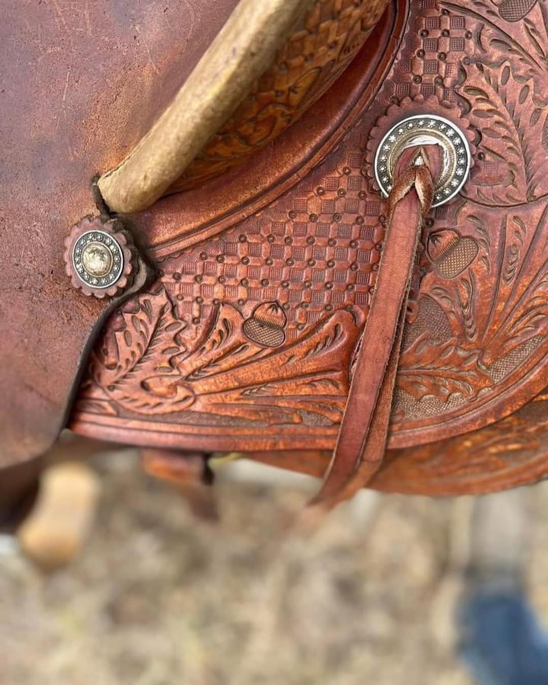 22fd033a9a82ac587e1a1191ba2b2a1e 22fd033a9a82ac587e1a1191ba2b2a1e