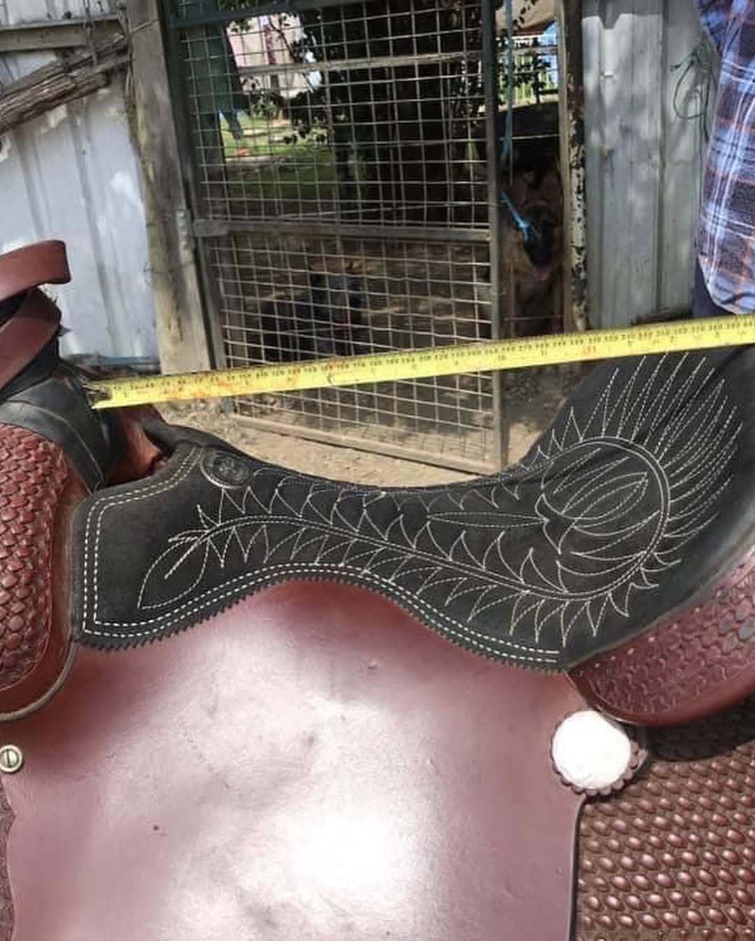 4bae749afd66e3b8c1eece5597df5fea 4bae749afd66e3b8c1eece5597df5fea