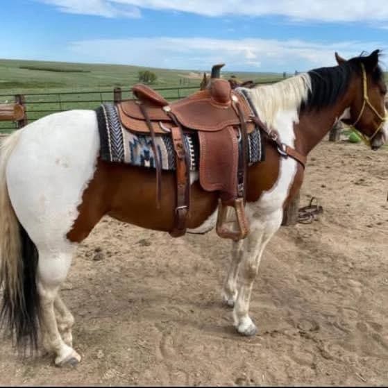 6c348124bcf552d4bcd9f1a04782a1cf 6c348124bcf552d4bcd9f1a04782a1cf