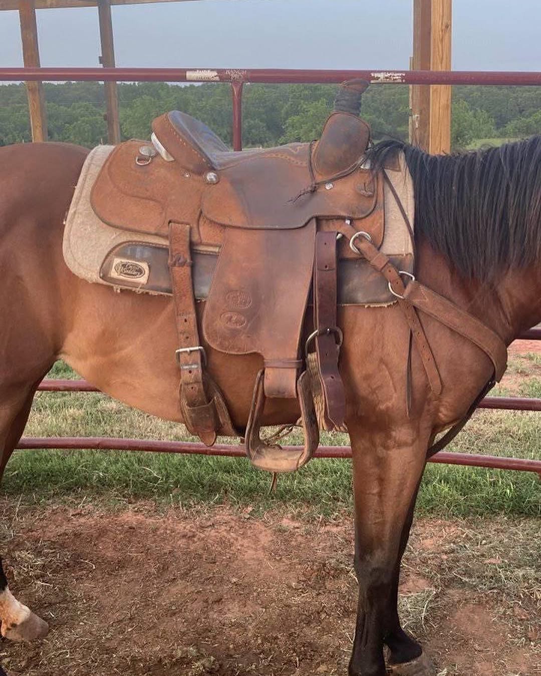 70fd5c4f88a7b2b08488e9dd3ed11655 70fd5c4f88a7b2b08488e9dd3ed11655