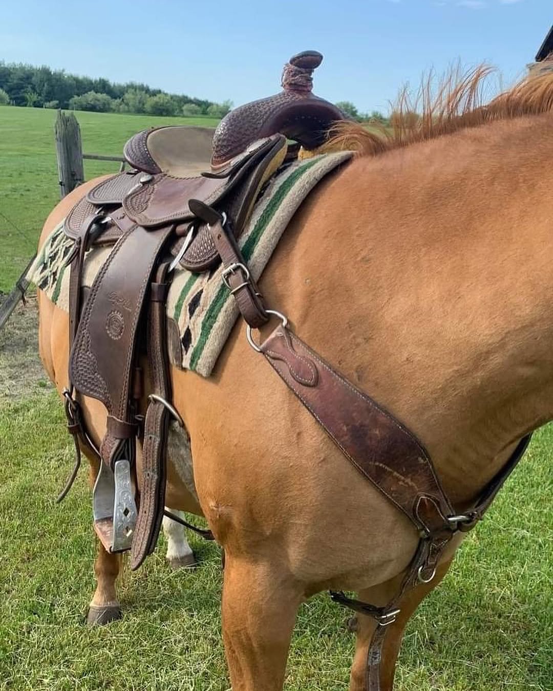 84606303eaefa590dbf83365a818ebaa 84606303eaefa590dbf83365a818ebaa