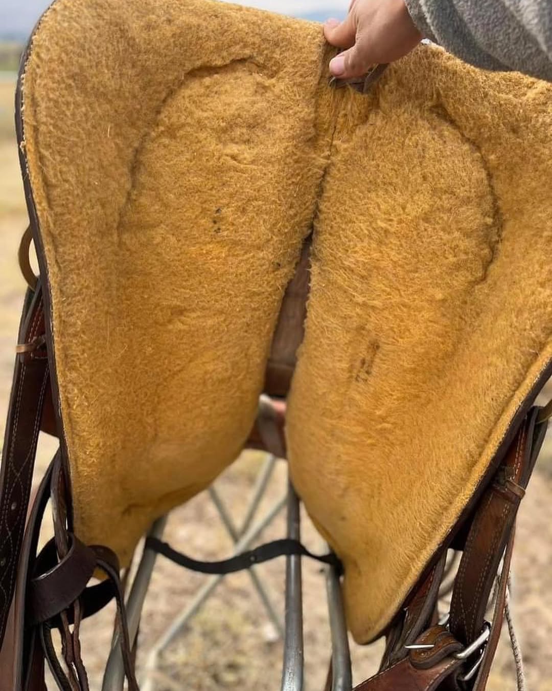 8c7536f13884a6c9b409e476a1d30bd8 8c7536f13884a6c9b409e476a1d30bd8