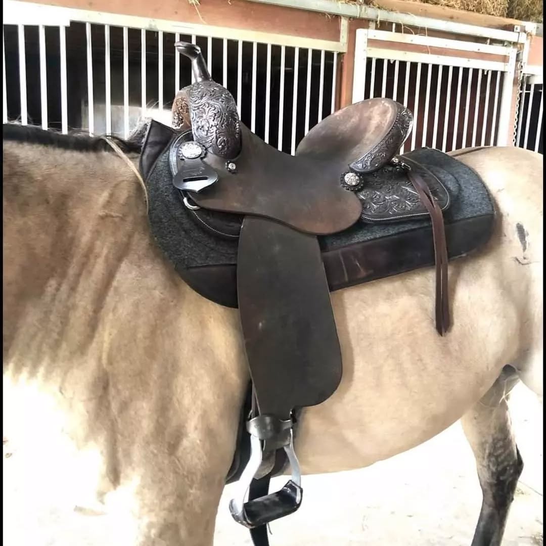 95c1a709360b90df70ae2387a977ed33 95c1a709360b90df70ae2387a977ed33