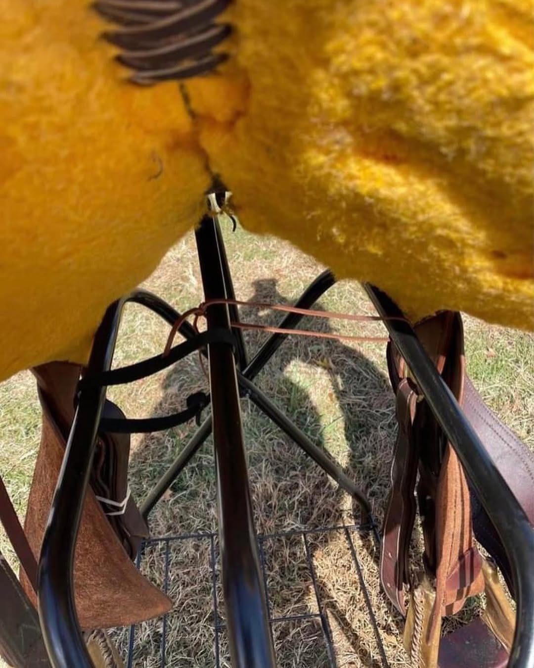 b892e6193efa4eb8512c0a9832625405 b892e6193efa4eb8512c0a9832625405