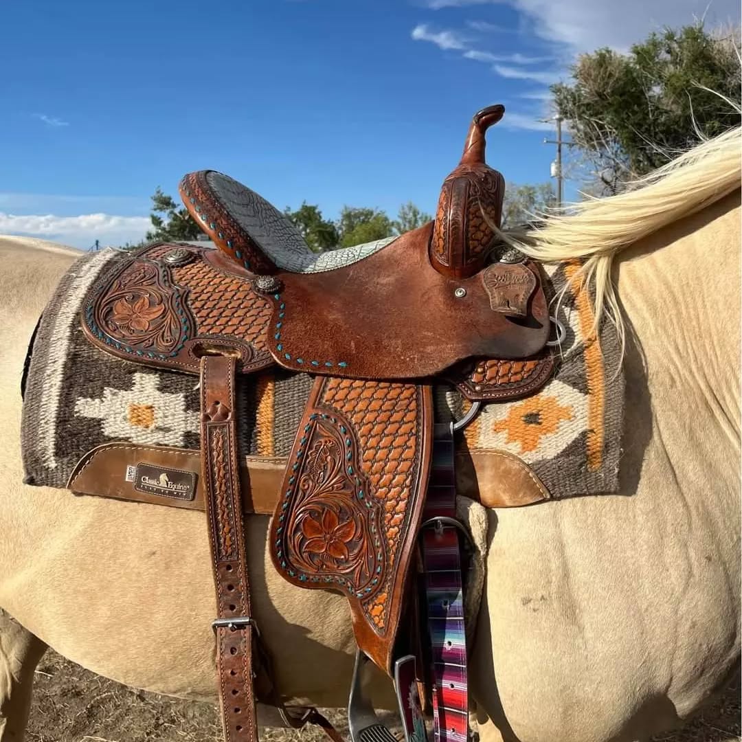 df86a22bfa11799ef1fa120158026173 df86a22bfa11799ef1fa120158026173