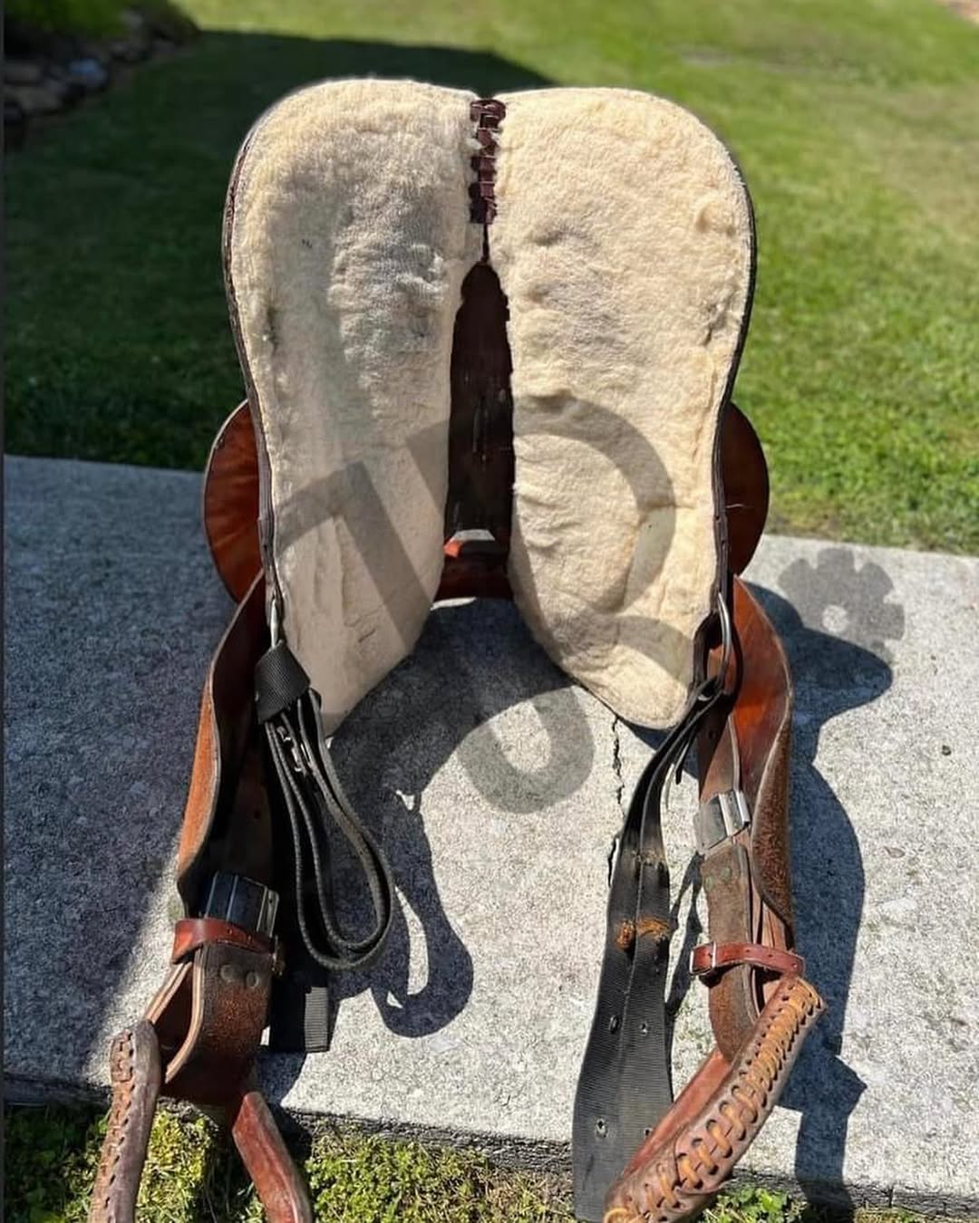 f8a6be8f9b78ed919cc9503dd764e9e1 f8a6be8f9b78ed919cc9503dd764e9e1